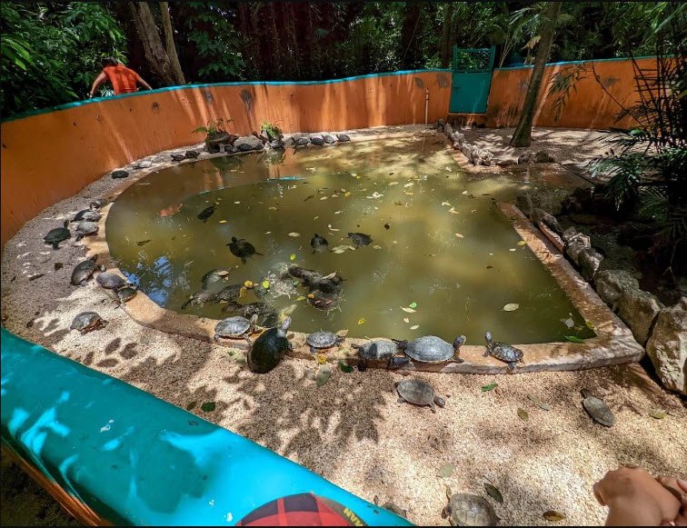 Croco Cun Zoo, Mexico